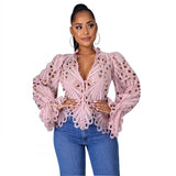 New Elegant Long Sleeve Hollowed Out, Sheer Mesh Lace Shirt